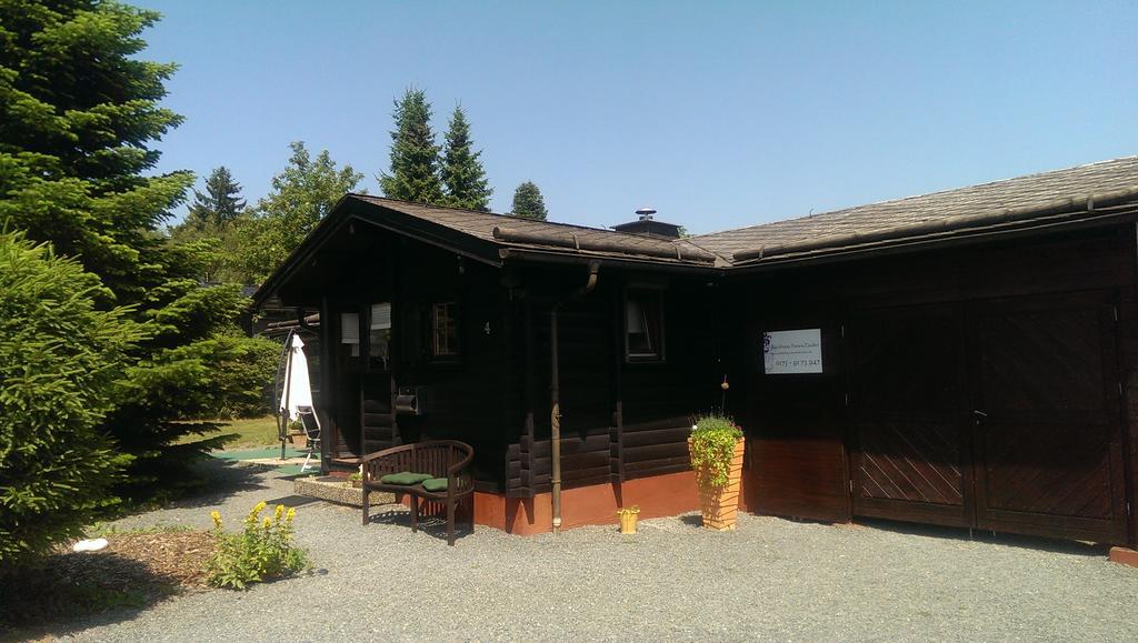 Blockhaus Ferienzauber Villa Bromskirchen Kültér fotó